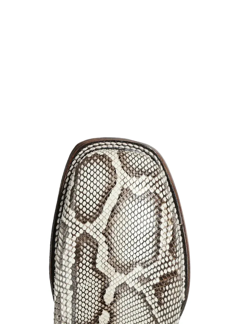 Snakeskin-patterned boot toe on a light gray background