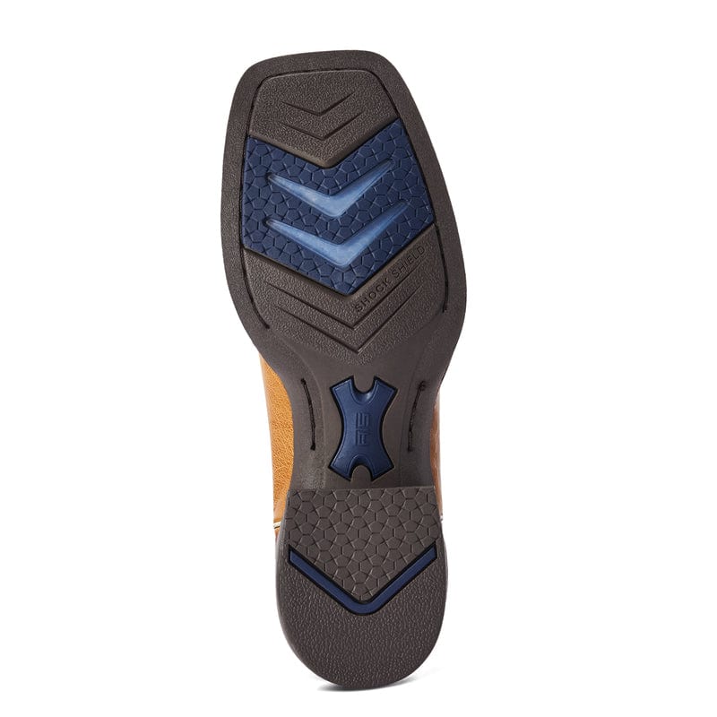 ARIAT INTERNATIONAL, INC. Boots 10042472