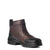 ARIAT INTERNATIONAL, INC. Boots Ariat Women's Dark Brown Barnyard Side Zip Boots 10003562