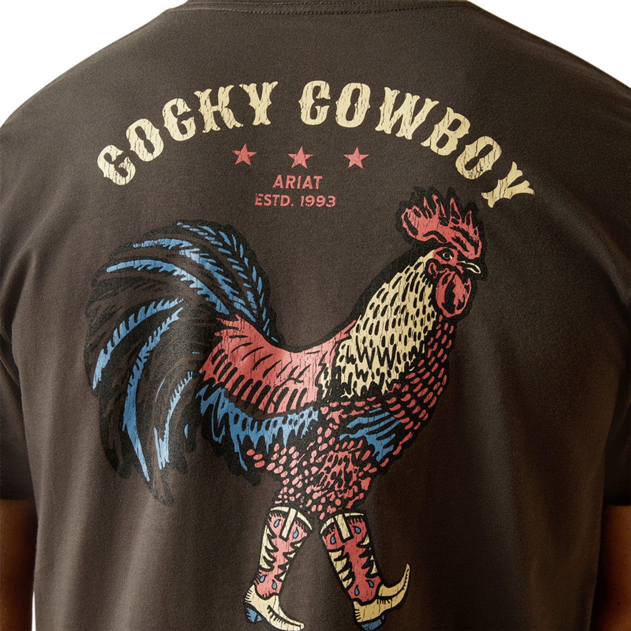 ARIAT Shirts Ariat Men's Brown Cocky Cowboy Vintage T-Shirt 10058894