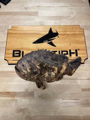 BlacktipH Apparel & Accessories BlacktipH Goliath Grouper Plushie