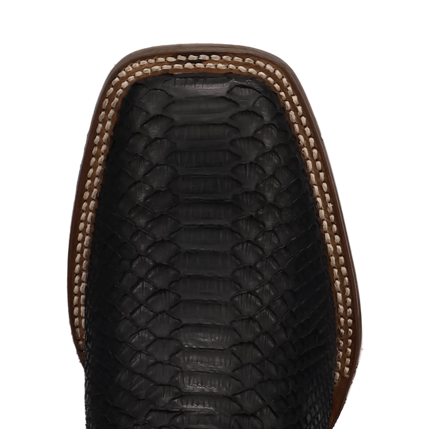 DAN POST Boots Dan Post Men's Black Midnight Reign Python Exotic Boot DP5269
