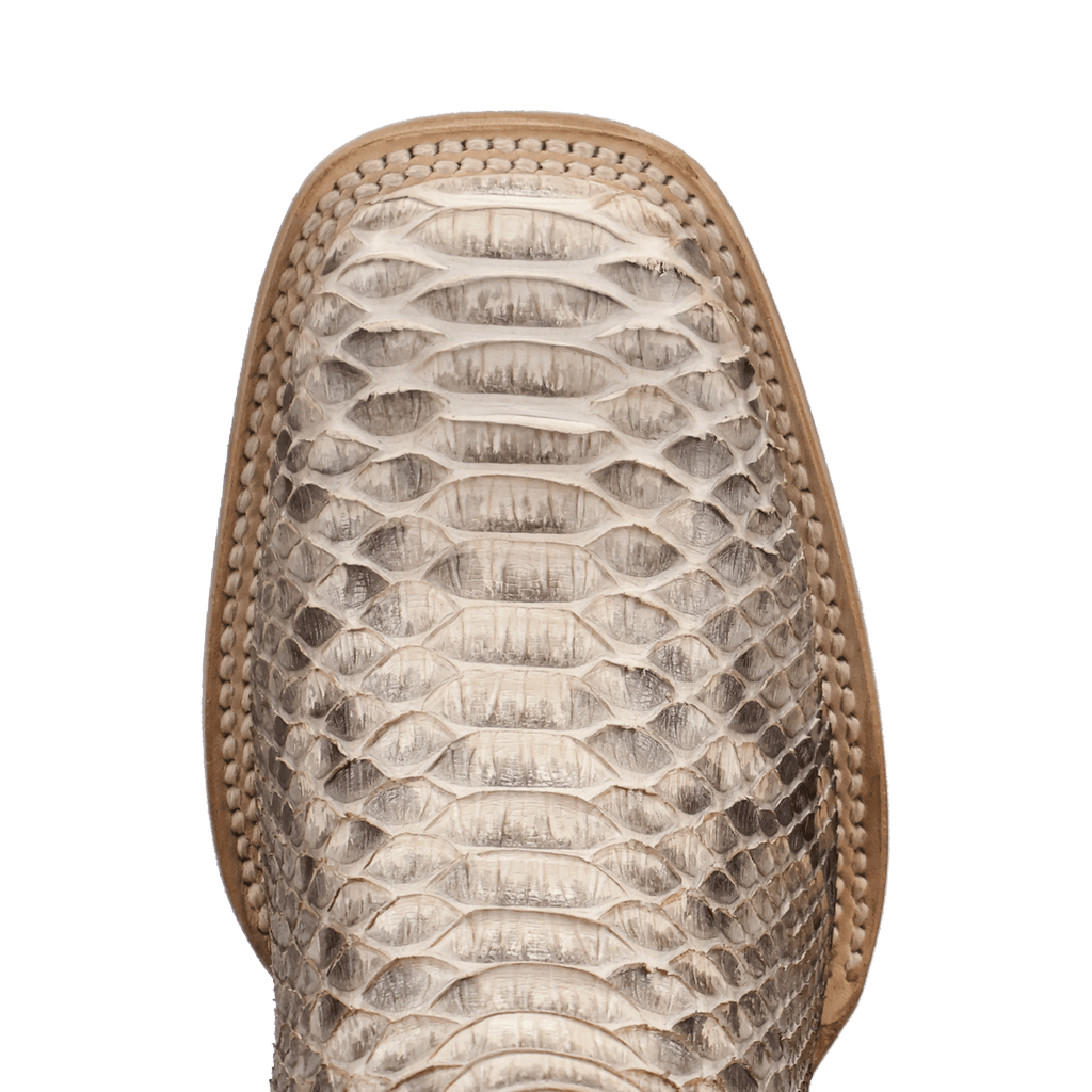 DAN POST Boots Dan Post Women's Natural/Chocolate Amara Python Exotic Boots DP5282