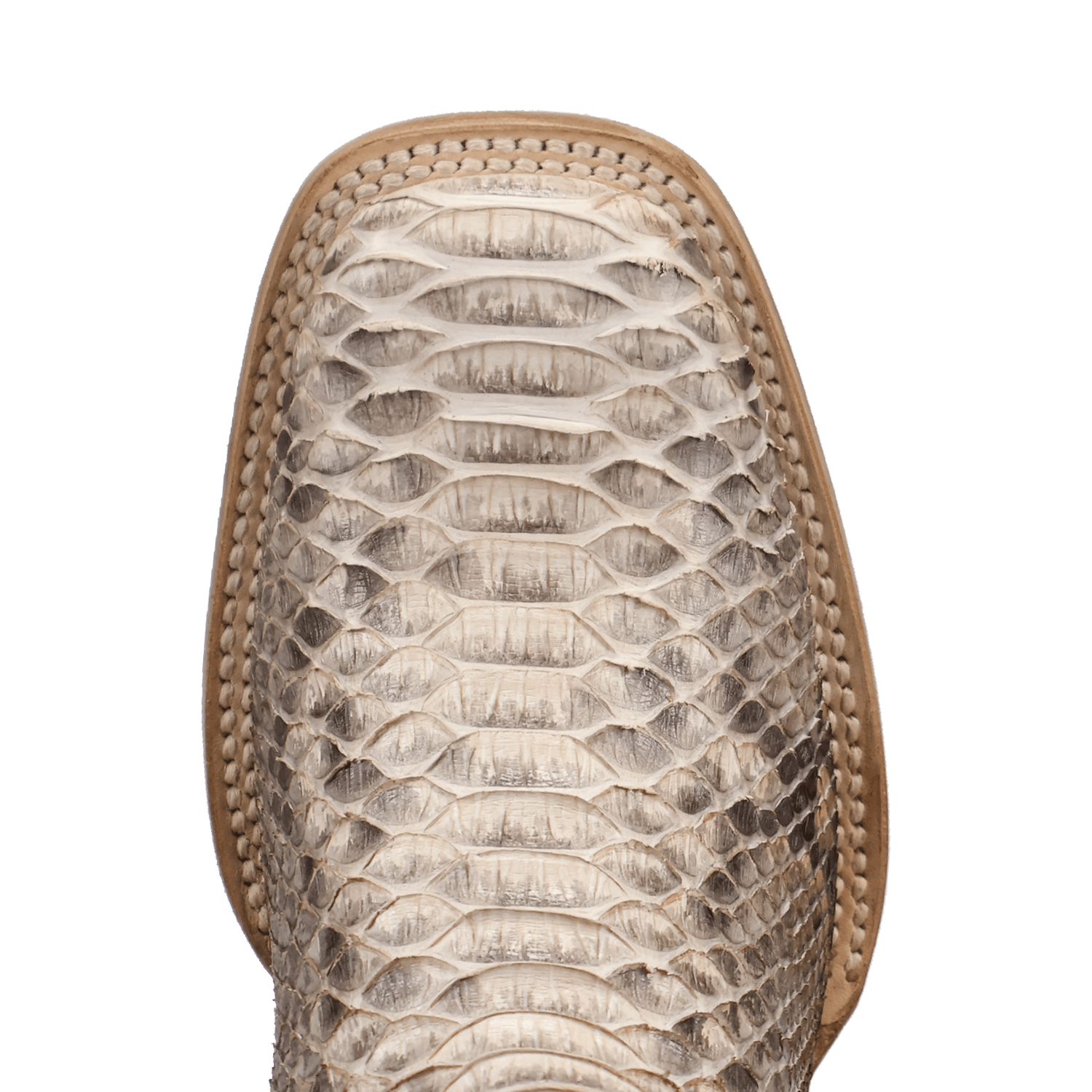 DAN POST Boots Dan Post Women's Natural/Chocolate Amara Python Exotic Boots DP5282