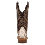 DAN POST Boots Dan Post Women's Natural/Chocolate Amara Python Exotic Boots DP5282