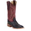 JUSTIN BOOTS Boots Justin Men's Shadow Black Chisolm Full Quill Ostrich Exotic Boots JE8171
