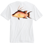 Saltwater Born Soft Tees Key West, FL Hogfish