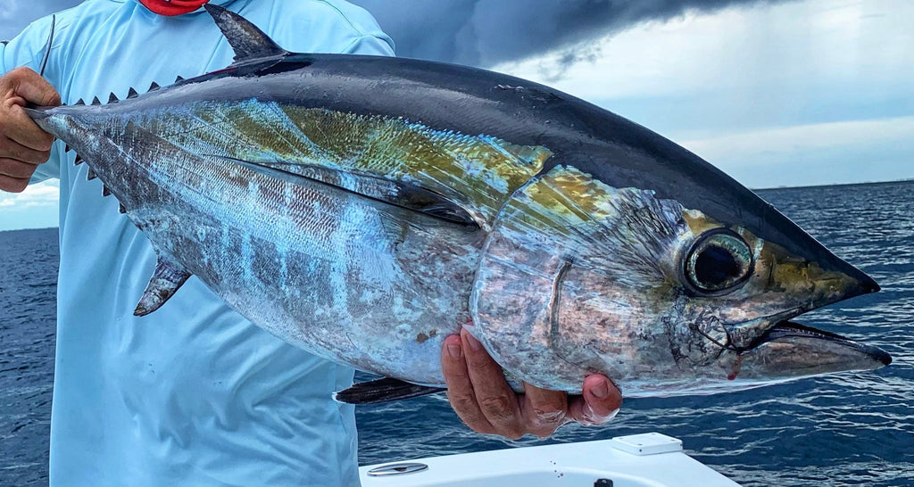 Seatec Outfitters Performance Shirts MEN'S SPORT TEC | BLACKFIN TUNA | CREW