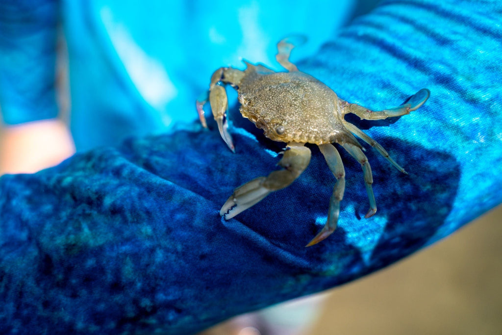 Seatec Outfitters Performance Shirts MEN'S SPORT TEC | BLUE CRAB | HOODED