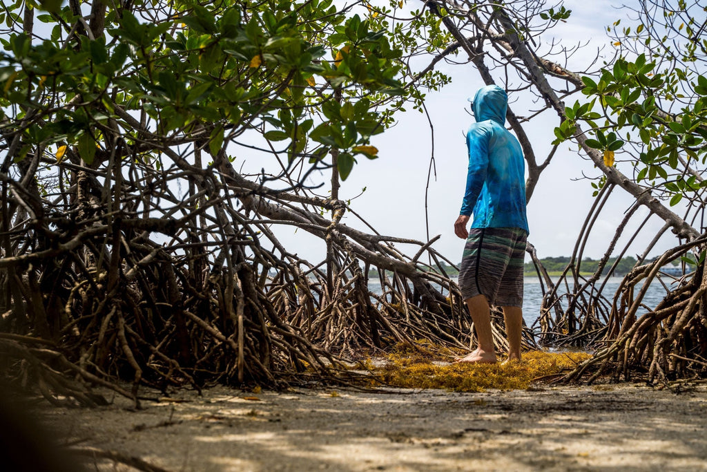 Seatec Outfitters Performance Shirts MEN'S SPORT TEC | BLUE CRAB | HOODED