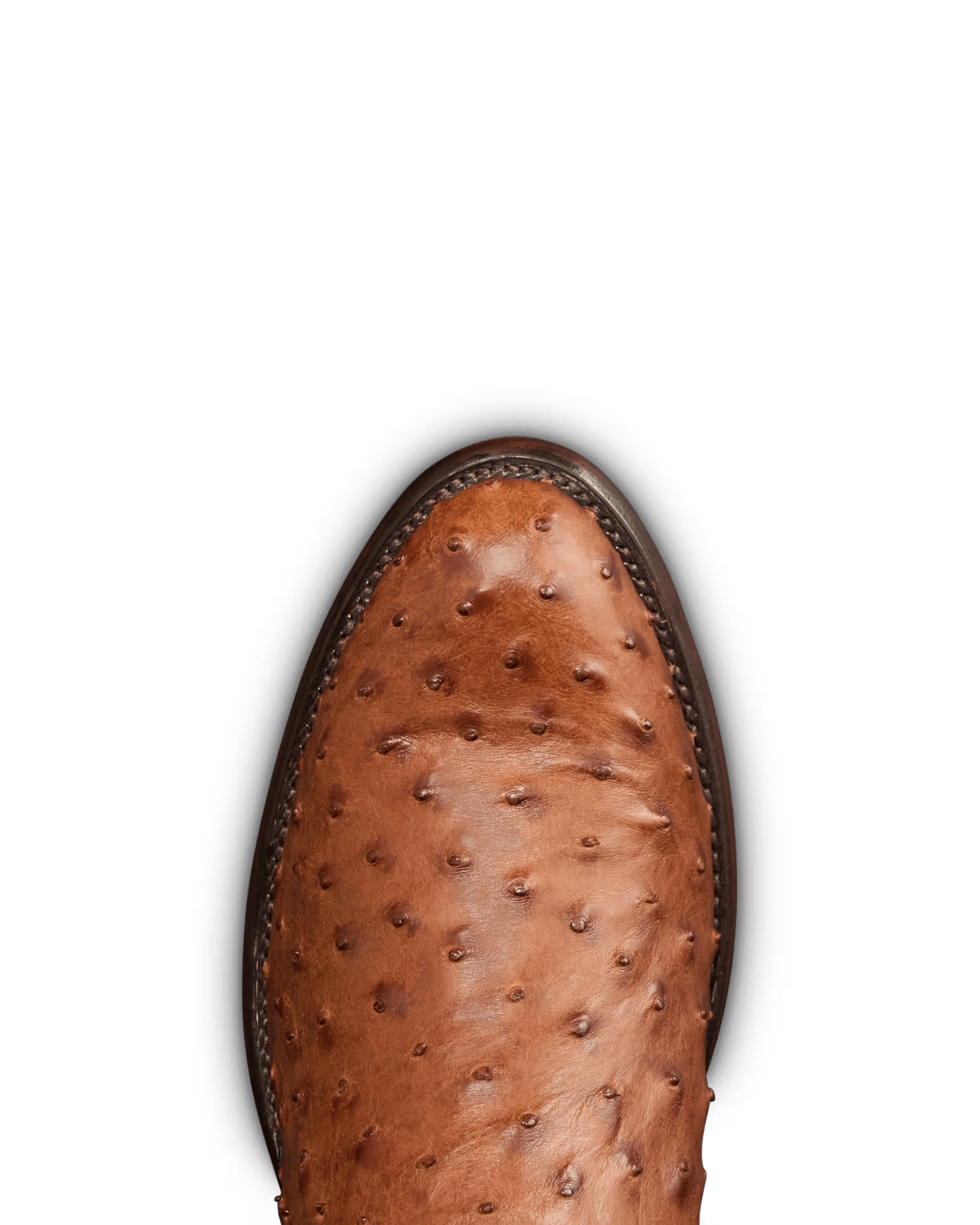 TECOVAS Boots Tecovas Men's The Wyatt Pecan Ostrich Cowboy Boots