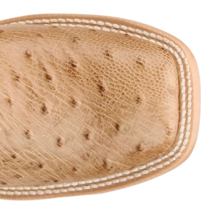 TONY LAMA Boots Tony Lama Women's Tan Cheyenne Smooth Ostrich Exotic Western Boots RN3642