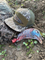 Whitetail Company Hats Whitetail Co. Fallen Feather 7 Panel Tree Bark