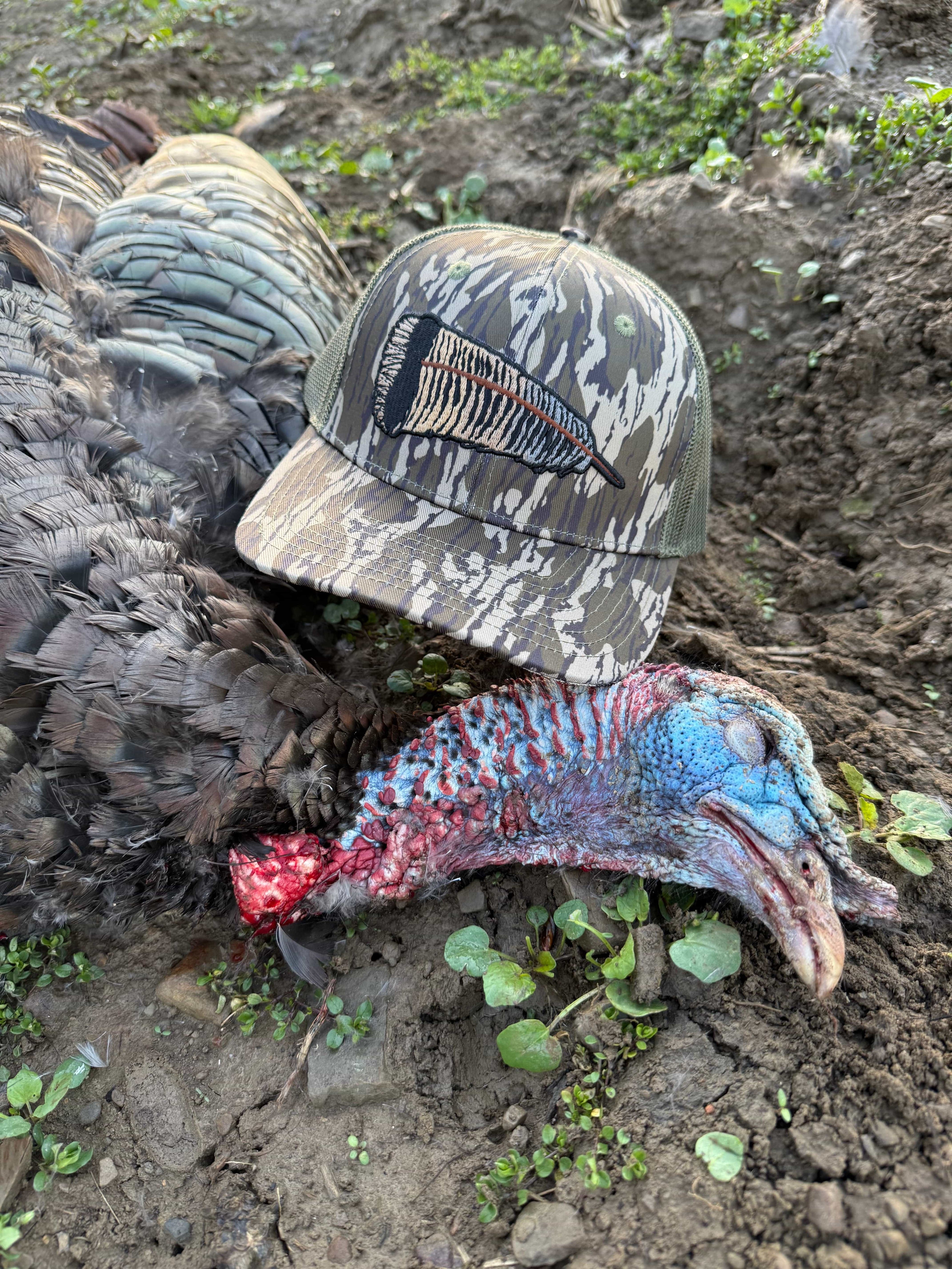 Whitetail Company Hats Whitetail Co. Fallen Feather Tree Bark Camo 6 Panel