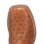 Dan Post Boots Dan Post Men's Alamosa Bay Apache Full Quill Ostrich Exotic Boots DP3874