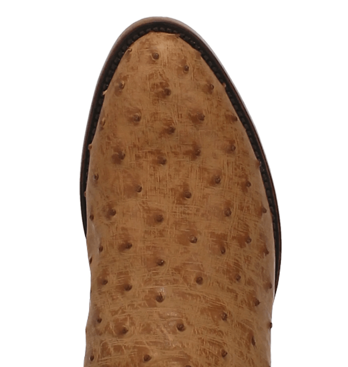 Dan Post Boots Dan Post Men's Gehrig Saddle Full Quill Ostrich Western Boots DP3077