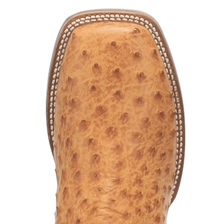 Dan Post Boots Dan Post Men's Kershaw Saddle Full Quill Ostrich Boots DP4951