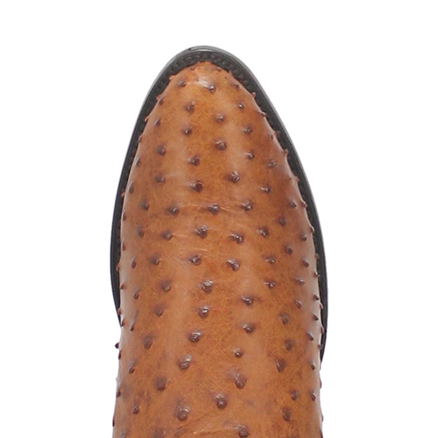 Dan Post Men's Tempe Saddle Brown/Chocolate Full Quill Ostrich