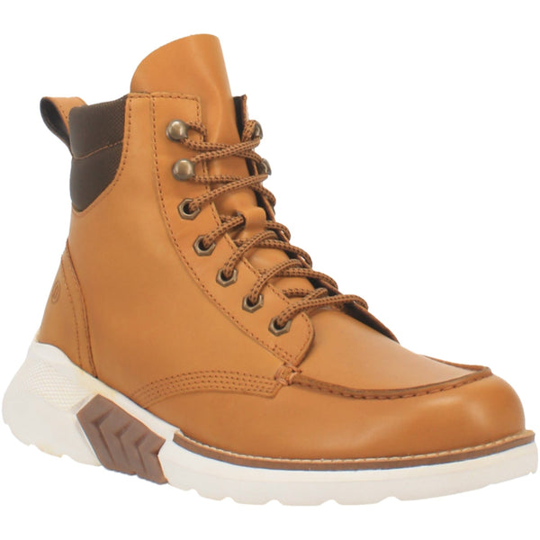 dingo-boots-dingo-men-s-  display picture 3
