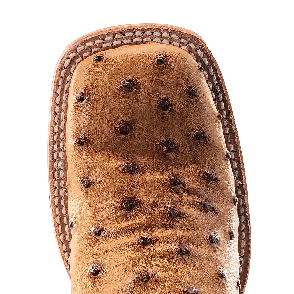 R WATSON BOOTS Boots R. Watson Women's Saddle Bruciato Full Quill Ostrich Western Boots RWL4304