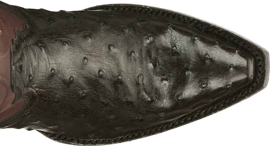 TONY LAMA Boots Tony Lama Women's Vasqueras Ines Full Quill Ostrich Black Cherry Narrow Square Western Boot - VF3056